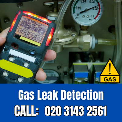 Expert Gas Leak Detection Services in Woodside Park | Woodside Park Leak Detection