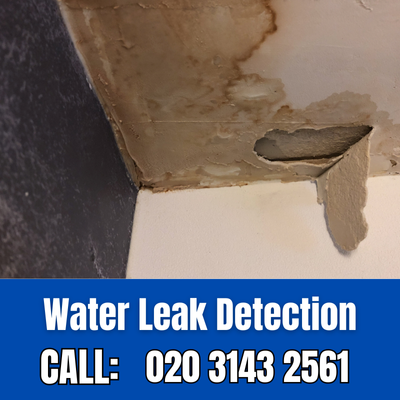 Expert Water Leak Detection Services in Woodside Park | Woodside Park Leak Detection
